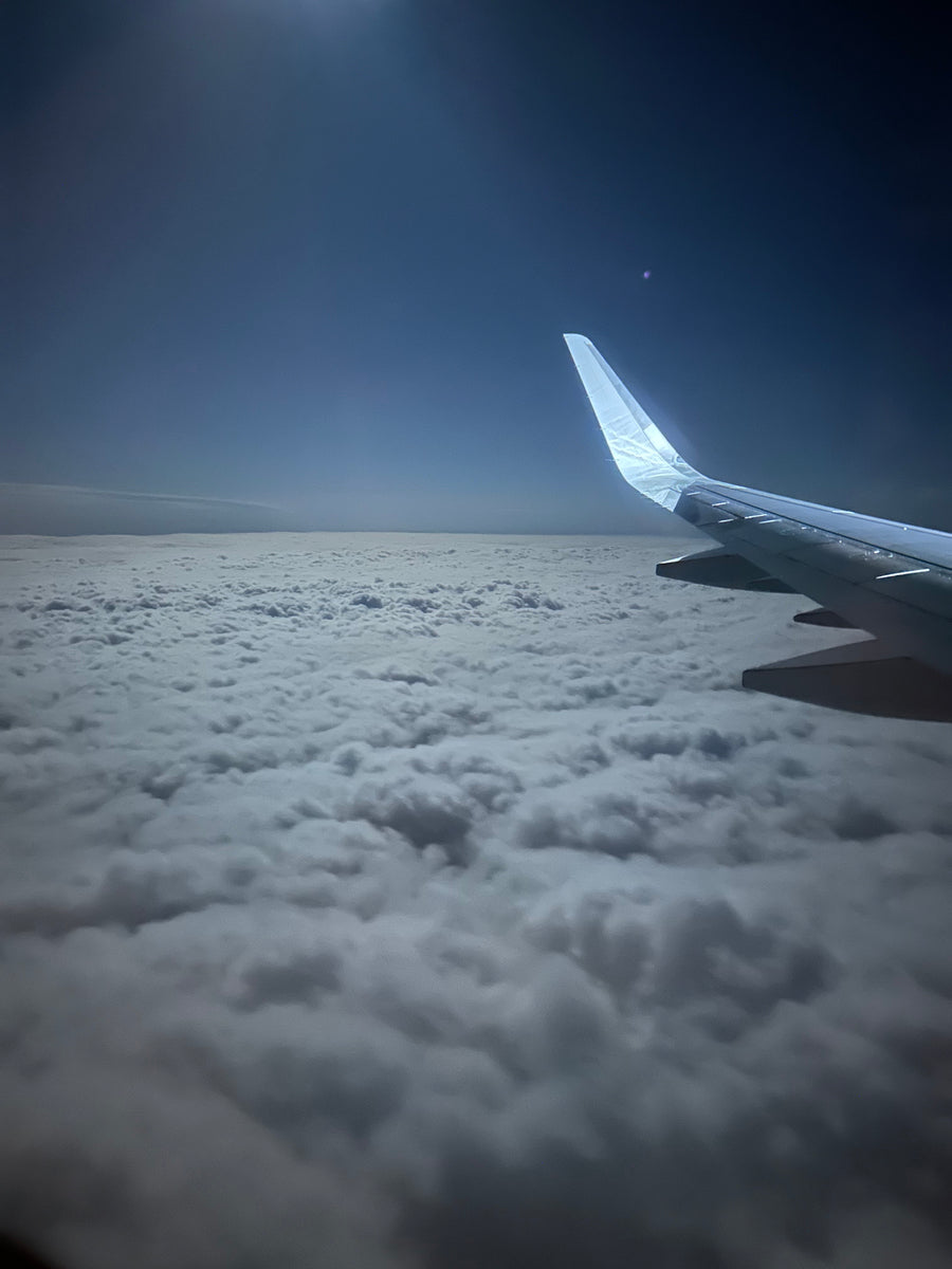 Under the Moon